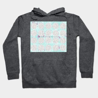 Thoreau Walden : The Universe is Wider Than Our Views of It Hoodie